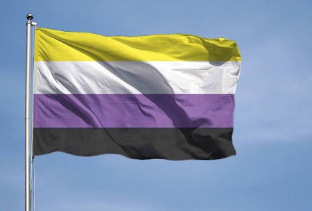 drapeau non binaire